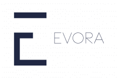 EVORA Global logo